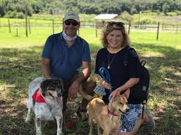 Our fosters and volunteers are passionately dedicated. So Many Happy Tails This Weekend Polka Dogz Pet Rescue Facebook