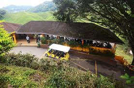 Cameron valley tea house 1. Tea Houses Bharat Group