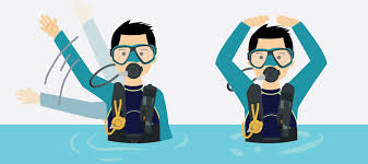 Scuba Hand Signals You Need To Remember Aquaviews