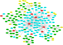 More research is needed in this area. Plos One Core Signaling Pathways In Ovarian Cancer Stem Cell Revealed By Integrative Analysis Of Multi Marker Genomics Data