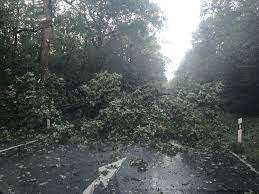 Bei infranken.de erhalten sie die wichtigsten informationen zur aktuellen wetterlage. Sturm Chaos Im Nurnberger Land N Land