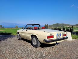 Image result for Avorio 1981 Alfa-Romeo