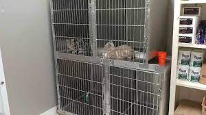 Union county animal hospital, located in maynardville, tn, is a medical facility for animals that offers comprehensive animal medical care services for pets including dogs, cats, and other household pets. Union County Animal Hospital Home Facebook