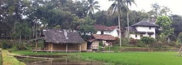 Kebun durian agrowisata giri asri dengan luas kavling per 100 metr berlokasi di daerah tujuan kota wisata kota subang. Desa Wisata Sari Bunihayu Kabupaten Subang Jawa Barat Tozsugianto