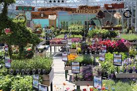 Gallery Windyridge Nurseries Garden Centre Garden Center House Plants Indoor Shade Plants
