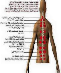 مواضع الحجامة بالصور لكل مرض النوم