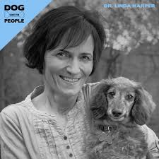 Focusing On The Positive After Losing Your Dog — Dog Save The People