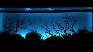 Night Time Fades With The Serene Background Led Aquarium Light Current Usa
