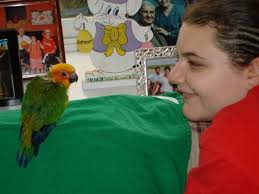 The Patch Whiz Kids of 2011