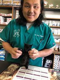 Maybe you would like to learn more about one of these? About Honolulu Pet Clinic The Honolulu Pet Clinic