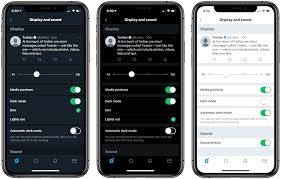 Twitter App Gets A New Oled Black Theme And Automatic Dark Mode View From The Park Twitter App App Check In App