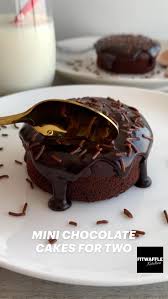 Taylor Dingess (taylordingess07)