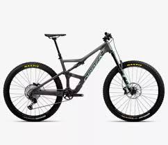 Image result for Orbea umbracula