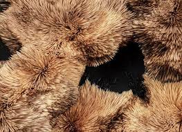 Inilah informasi yang dapat kami sampaikan contoh soal smart ability to learn bank bca. Interview With Emerging Artist Chris Soal Artland Magazine