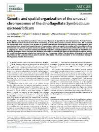 Dilarang plagiat, share or memperjualbelikan terjemahan saya, dilarang republish novel yang ada di blog tanpa cantumin kredit. Genetic And Spatial Organization Of The Unusual Chromosomes Of The Dinoflagellate Symbiodinium Microadriaticum