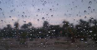 اذاعة عن فوائد نزول المطر ويكيات
