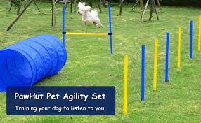 Dogs run off leash with no food or toys as incentives, and the handler can touch neither dog nor obstacles. Pawhut Dog Agility Starter Kit Pet Outdoor Exercise Training Set Tunnel Weave Pole High Jumper Amazon Ca Pet Supplies