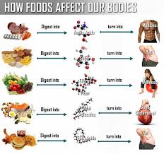 What Happens To Food After You Eat It Health Fitness __