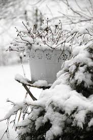 Pin By Babi Kovacs Ferencne On Winter Garten Winter Garden Winter Pictures Winter Magic
