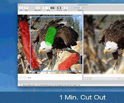 Instantly Remove Background From Image For Mac Remove Background From Image Photoshop Plugins Cat Template