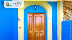 المبادرات مبادرة بينا