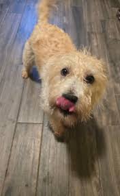 Everybody's happy when it is sunny day🇮🇪