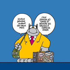 pin op le chat philippe geluck