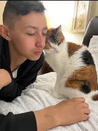 We're still missing our beloved Daisy. Please help her come back to my  parents that love her and miss her so much!!!" Please spread the word!  Daisy is STILL MISSING as of