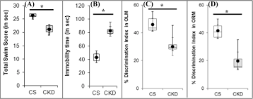 Such kidney distention is called hydronephrosis. Neurological Sequel Of Chronic Kidney Disease From Diminished Acetylcholinesterase Activity To Mitochondrial Dysfunctions Oxidative Stress And Inflammation In Mice Brain Scientific Reports