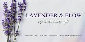 Lavender & Flow: Yoga in the lavender fields