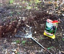 Follow along as i maintain this plot! No Food Plots For Deer Hunting Are Not New Or Terrible