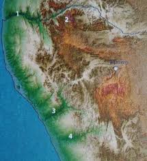 Image result for Lefebvrea grantii