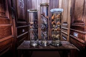 Národní muzeum je největší muzeum v čr spravuje několik objektů v praze i mimo ni. Prirodovedecke Muzeum Narodni Muzeum