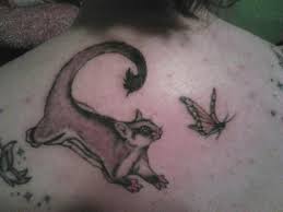 Sugarglider Com Gliderpedia Tattoo Tattoos Sugar Glider Fish Tattoos