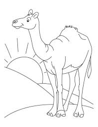 Pin Em Domestic Animals Coloring Pages