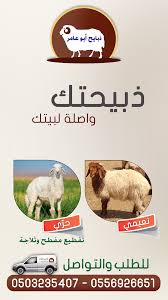 ذبايح أبو عامر ذبيحتك واصله لبيتك الرياض teddy teddy bear bear
