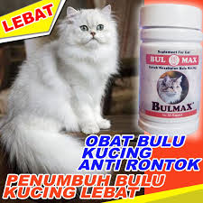 Maybe you would like to learn more about one of these? Bm02 Obat Bulu Kucing Rontok Vitamin Bulu Kucing Anti Rontok Bulmax Penumbuh Bulu Kucing Lebat Shopee Indonesia