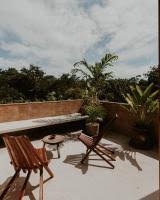 Image result for Galopina