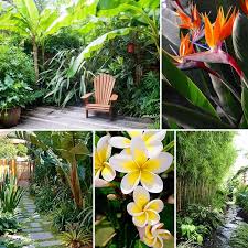 5 Staggering Garden Ideas Rectangle Ideas In 2020 Small Tropical Gardens Tropical Backyard Balinese Garden