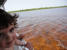Roteiro por Caye Caulker, em Belize e pela Península de Yucatán, no México,  do pequeno viajante Pedro e seus papais mergulhadores