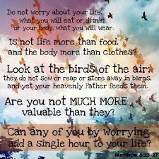 Look At The Birds Of The Air Niv Whenifeeloverwhelmed Jesus Said Do Not Worry About Your Life What You Will Eat Or Drink Or About Your Body What Matthew 6 25 Matthew 6 Book Of Matthew