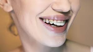 Check spelling or type a new query. Shutterstock