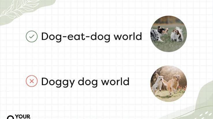 It's a Dog-Eat-Dog (Not Doggy Dog) World: But Why Are Dogs Involved? |  YourDictionary