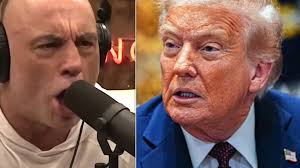 Woman hospitalized after car enters yard, striking her