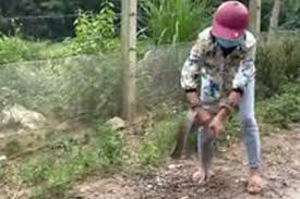 Множество банд осталось на свободе еще со времен гражданской войны. Vlwbqpa8o1d Em