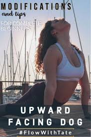 Upward Facing Dog Pose Break Down And Modifications In 2020 Upward Facing Dog Upward Facing Dog Pose Yoga Poses For Beginners