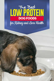 The Best Low Protein Dog Foods For Kidney Liver Health In 2020 Low Protein Dog Food Kidney Recipes Dog Food Recipes