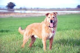 Tribute to our Fallen Leader