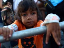 Fundraiser by Sally Lieber : Help Feed Refugee Families