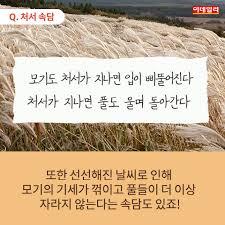 Jun 14, 2021 · clien 본문 바로가기 메뉴 바로가기 폰트크기변경 색상반전보기. ì ˆê¸°ë§¤ì§ ì˜¤ëŠ˜ì€ ì²˜ì„œ ëª¨ê¸°ê°€ ìž… ëŒì•„ê°„ ì‚¬ì—°ì€